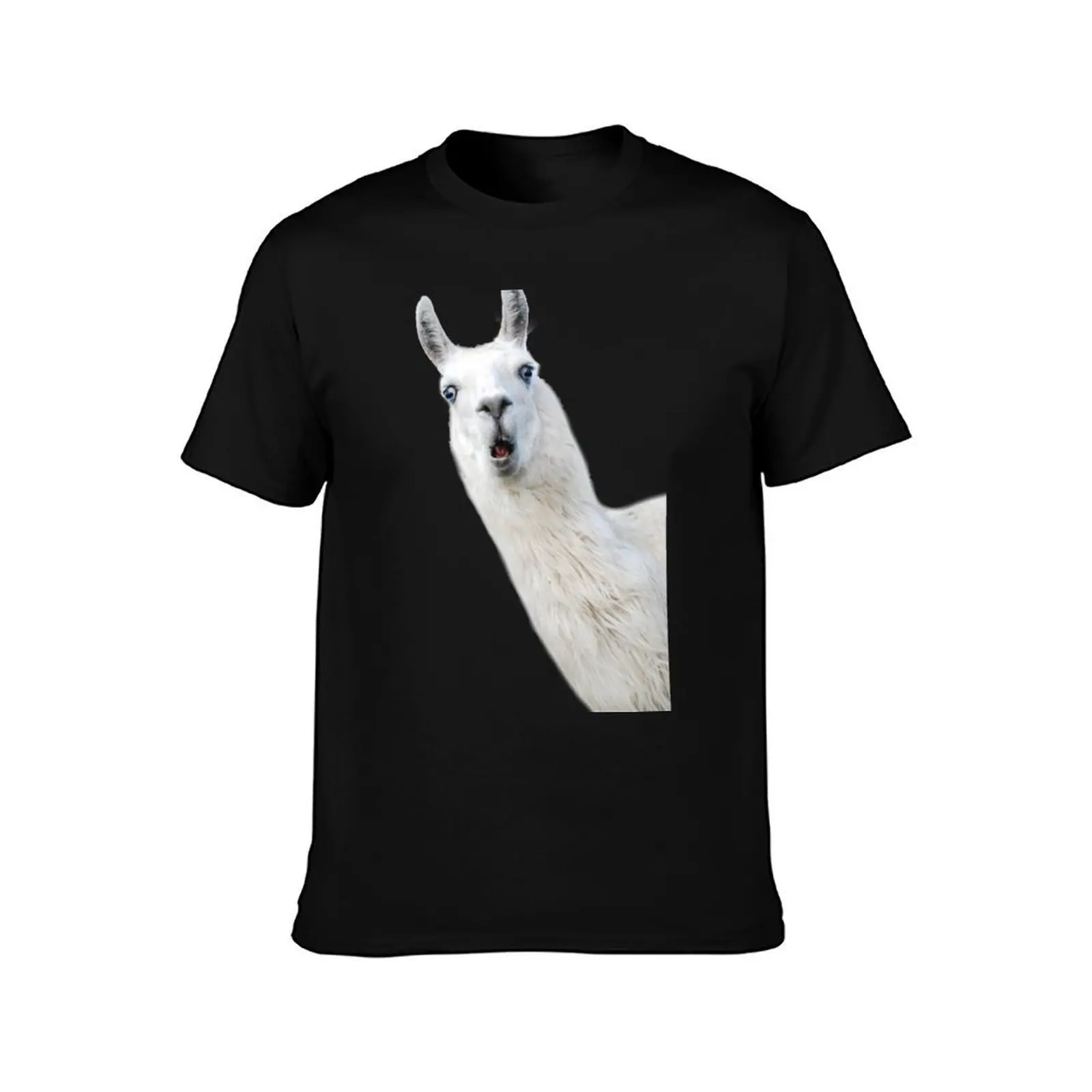 Funny Llama T-Shirt Lightweight Gym Training T-Shirt