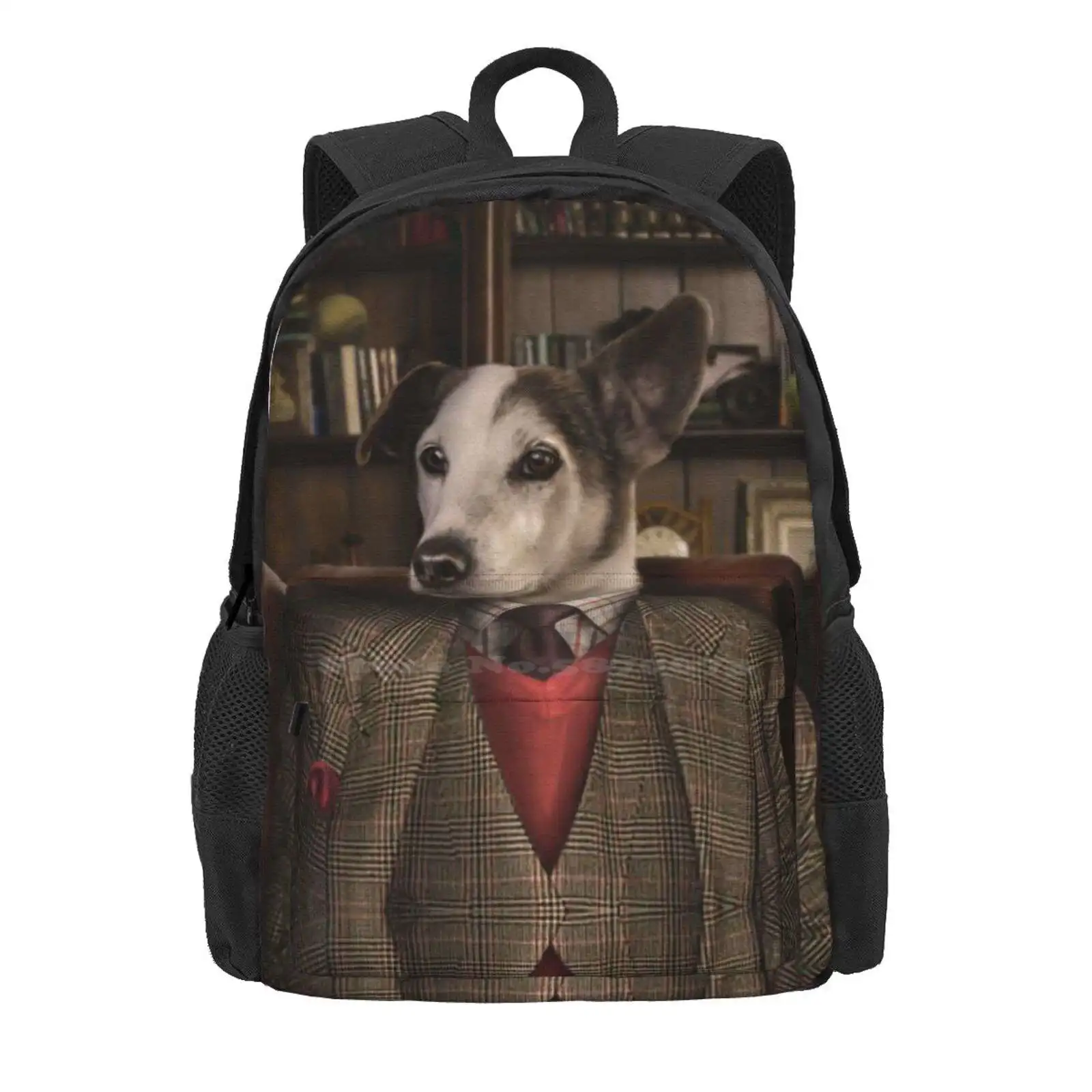 Jack Russell Dog Portrait - Paddy Hot Sale Schoolbag Backpack Fashion Bags Jack Russell Dog Pompous Pets Dog Images Dog