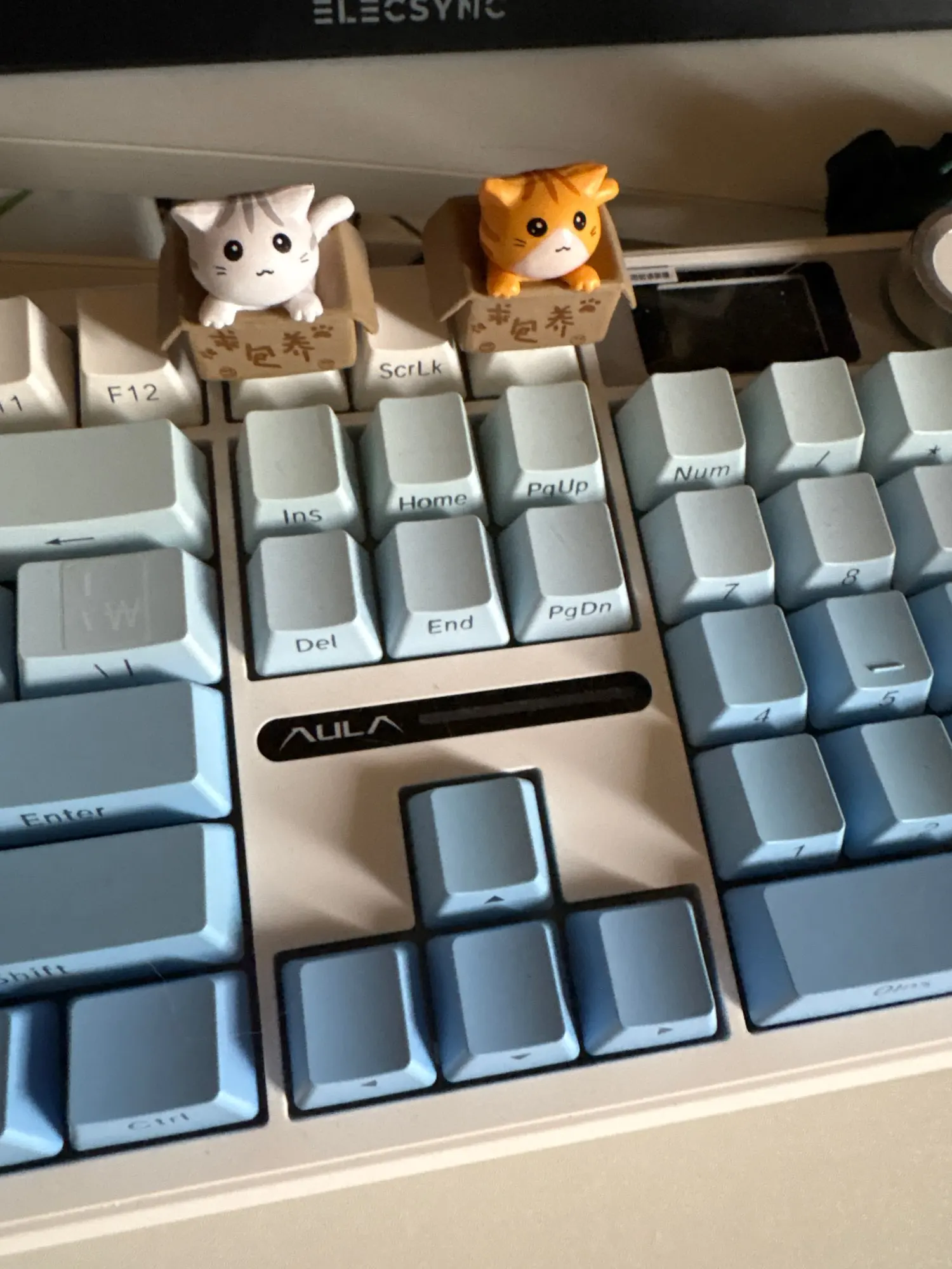 실물 포토 리뷰