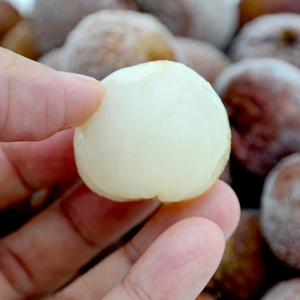 شينجونج فود ليتشي فروزن 1 كجم × 2 فواكه استوائية مجمدة