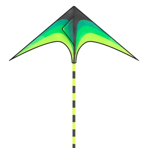 Yongjian Large Delta Kite für Kinder und Erwachsene, leicht zu fliegen, riesig, mit 6m Schwanz, Outdoor -Spielzeug ausgestattet 6 Hauptverkaufspipa -Flugzeug - №1