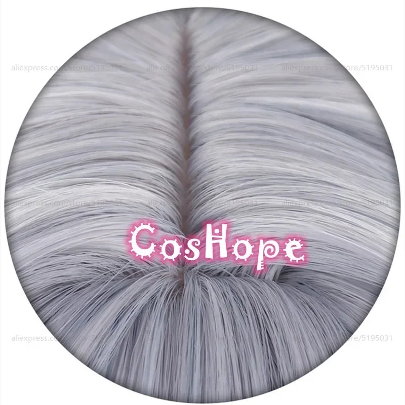 c;4\g,6'h.9/c;4\g,6'h.9/HSR Hanya 110cm Long Grey Wig Anime Cosplay Wigs Heat Resistant Synthetic Wigs6'h\3,g'8/b'6'h\3,g'8/b' view 6
