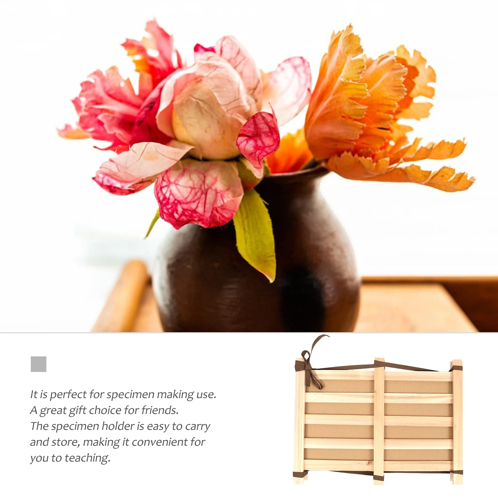 

1Set Herbarium Specimens Clip Wooden Making Clip Durable Portable Educational Teaching Tool Laboratory Equipment