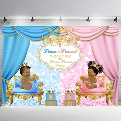 10x6ft Fabric Prince or Princess Gender Reveal Backdrop Royal Pink or Blue Curtain Photography Background Family Party Banner