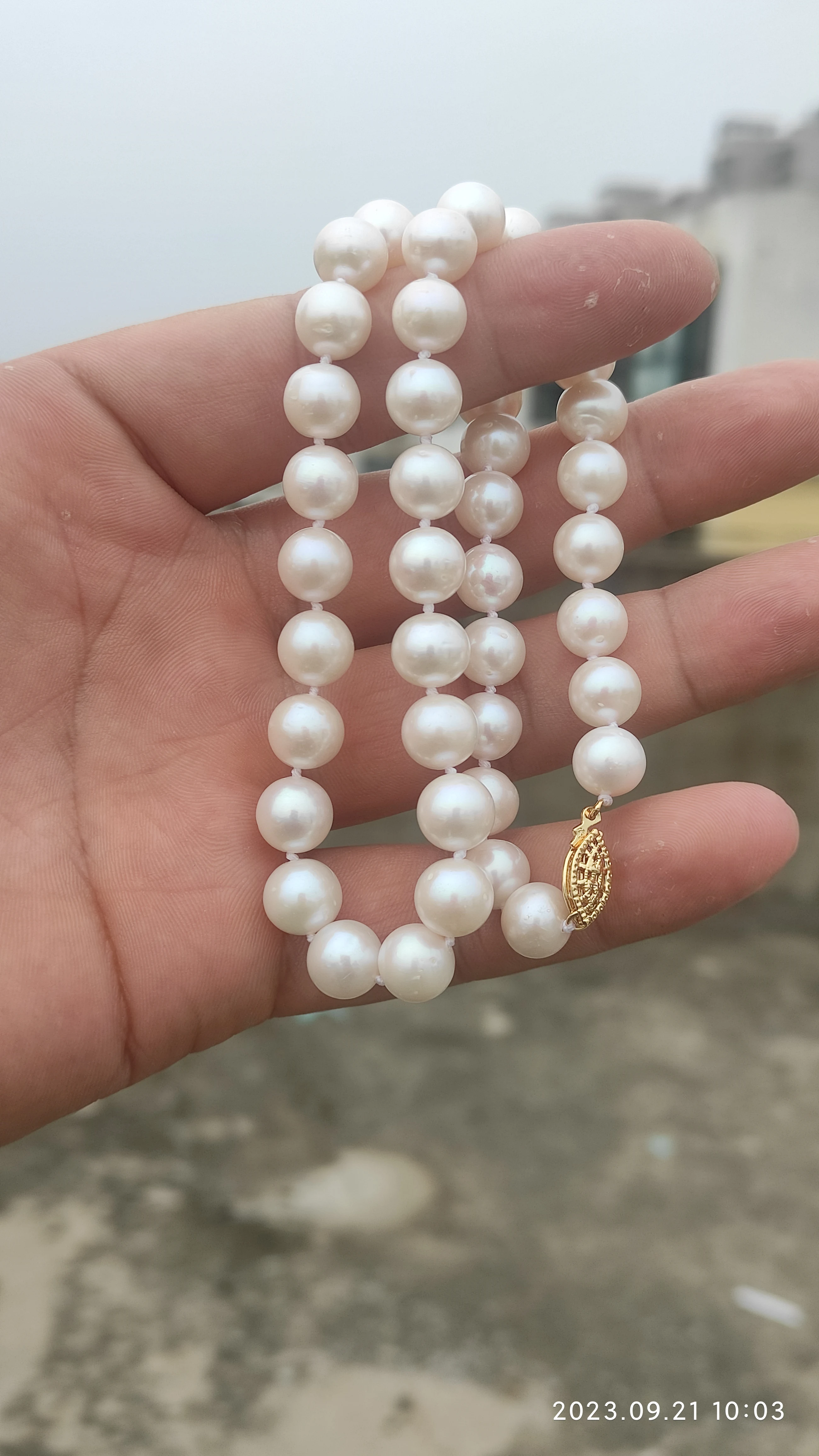 AAA++++8-9mm circular natural akoya white pearl necklace 18\