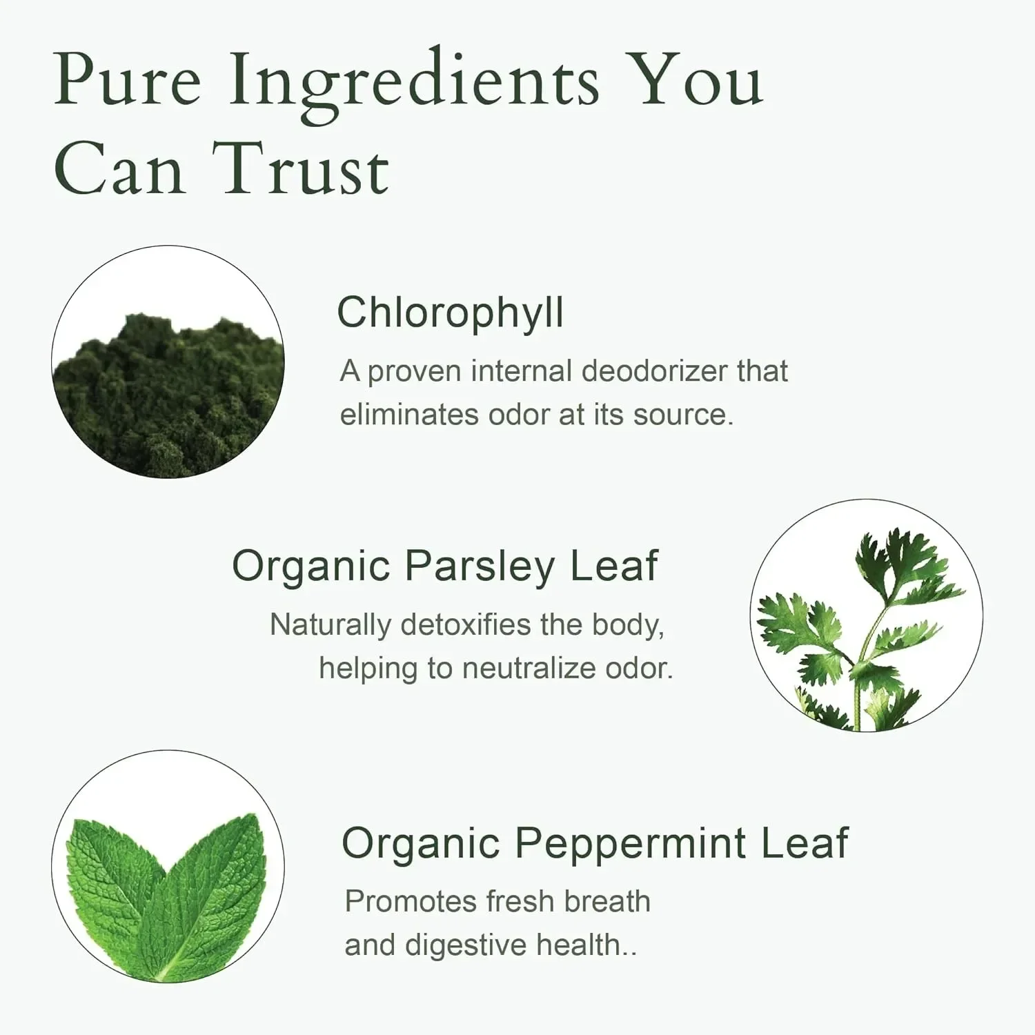 Body Deodorizing Supplement - Natural Odor Control for Gut Health, Skin Health, Detoxification, and Digestive Support