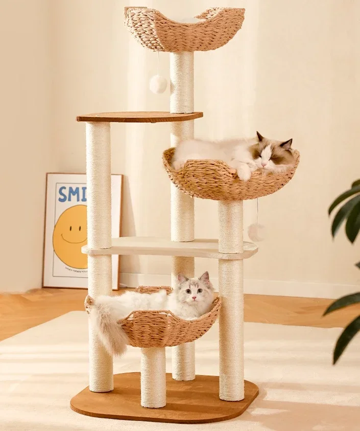

Cat climbing frame, nest tree, integrated sisal climbing column, scratch resistant, winter solid wood