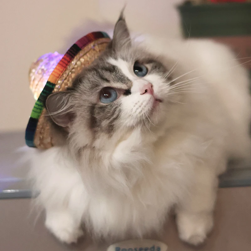 Sombrero, diadema, tocado de Festival mexicano, LED neón, gorro de paja mexicano, accesorios de fotografía para niña, disfraz de Carnaval para mascota