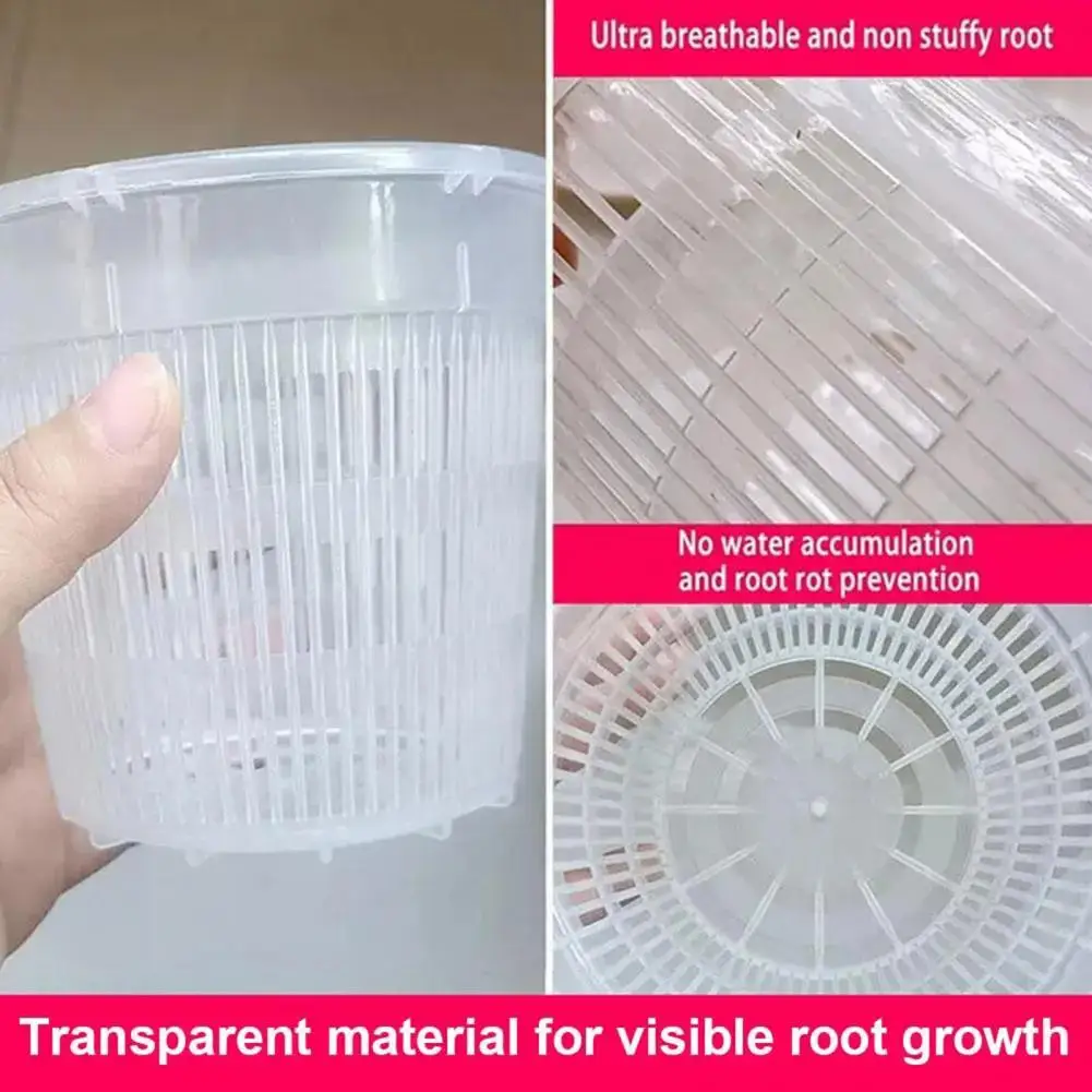 Transparent Flower Pot Orchid Pot Orchid Flower Pot with Drainage Holes Raised Bottom Slotted Planter Breathable for Indoor