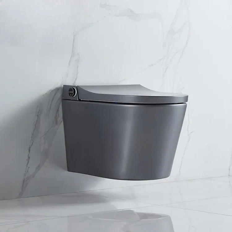xx-Modern Auto Open Electronic Toilet Concealed Tank One Piece Intelligent Bidet Smart Toilets For Bathroom^