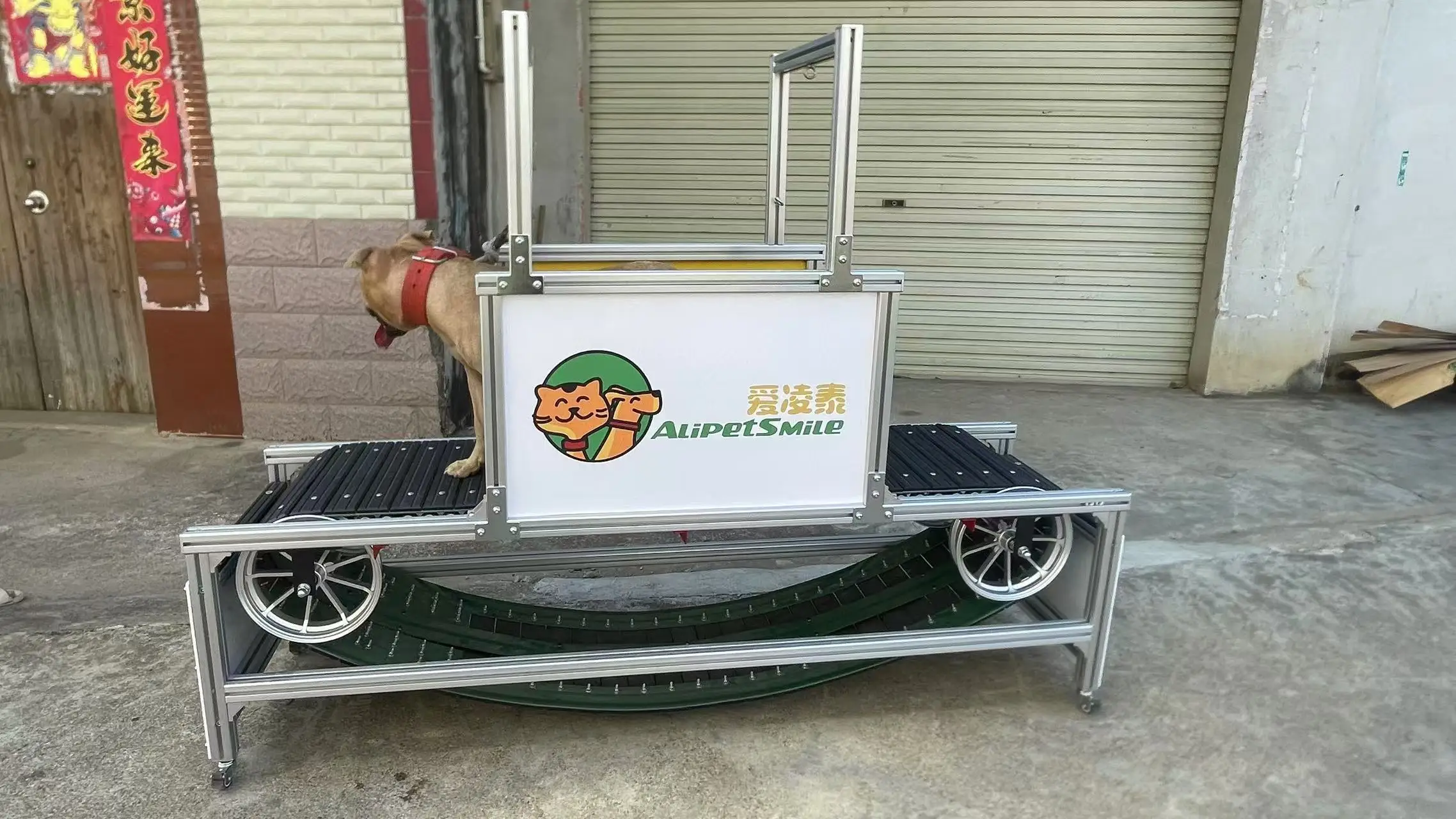 Professional Aluminum Alloy Dog Treadmill | No Powered Slatmill for Medium to Large Dogs Exercise | Indoor & Outdoor Use