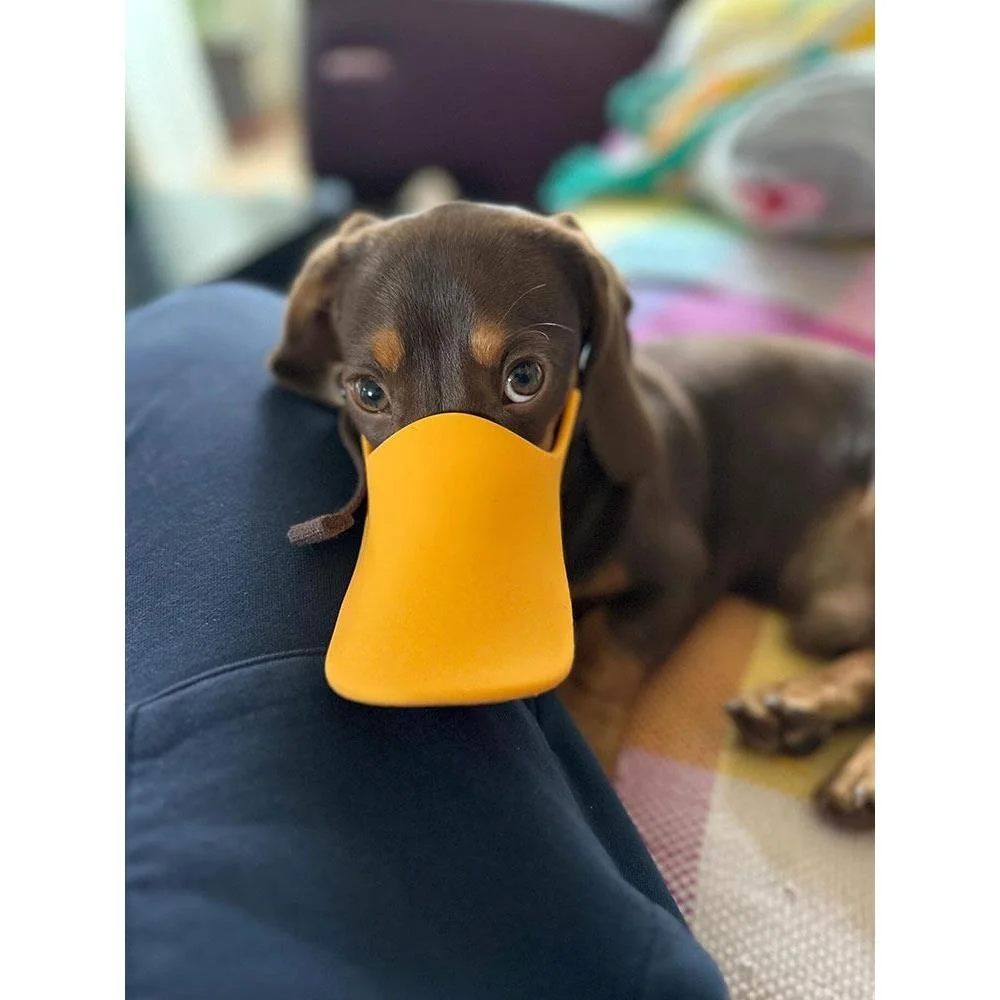 

Dog Mouth Cover Prevents Mess Eating Duckbill Mask Large Medium Dogs Anti Barking Pet Travel Prevents Misreading Teddy Golden...