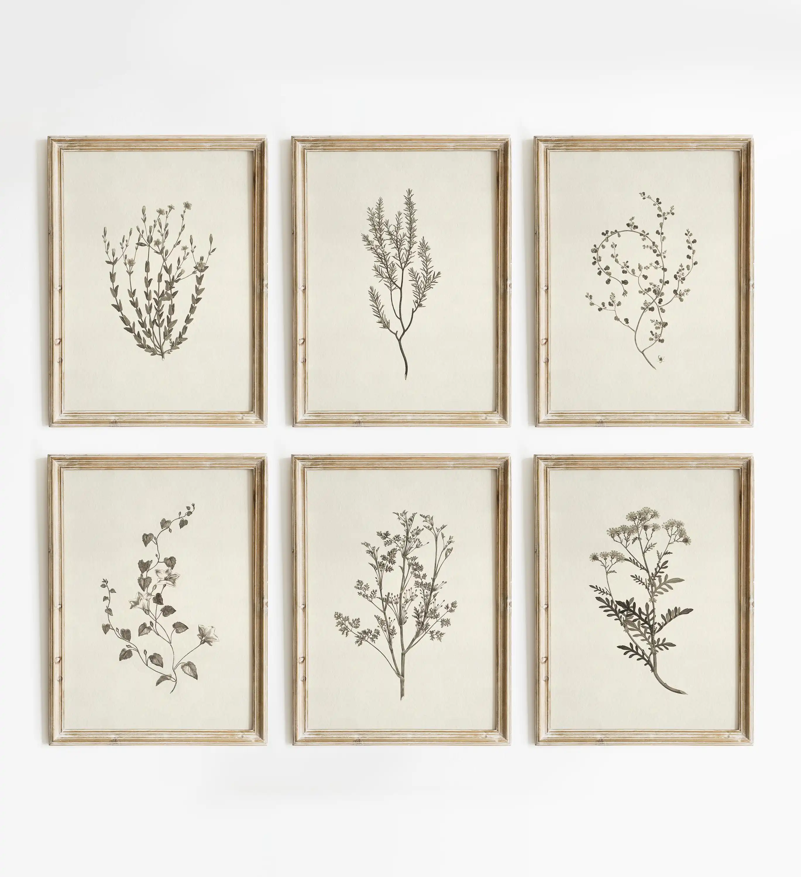 Retro Minimalist Plant-themed Floral Print Set Featuring Blooming Flowers Painted Art Posters and Plant Art Prints
