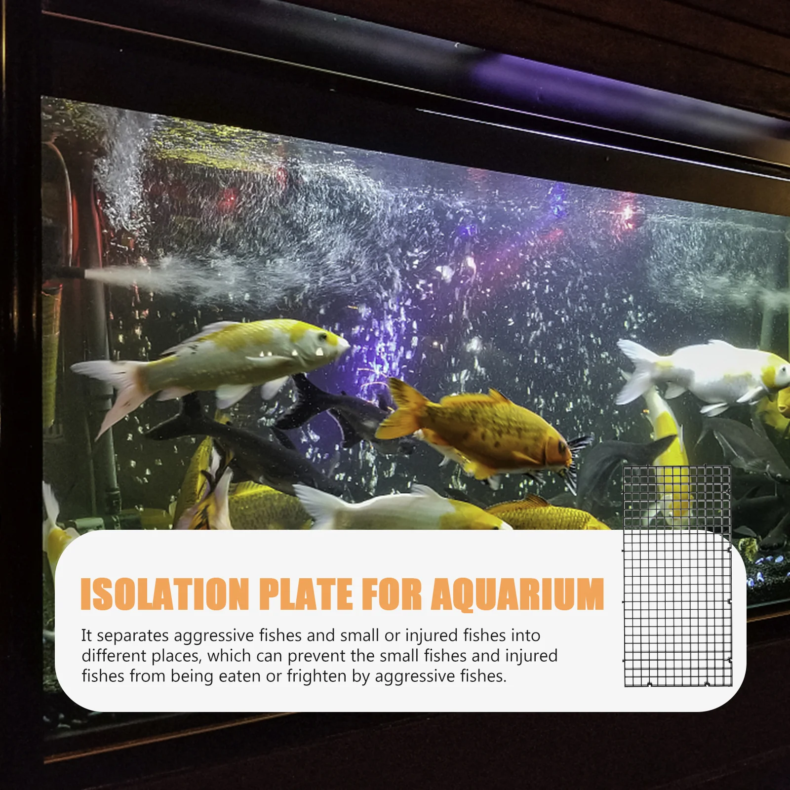 

6Pcs Fish Tank Isolation Divider Plastic Filter Grid Plate Holder Aquarium Net Aquarium Filtration Plates Fish Tank Divider