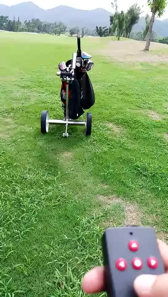 

Remote Control Electric Golf Cart