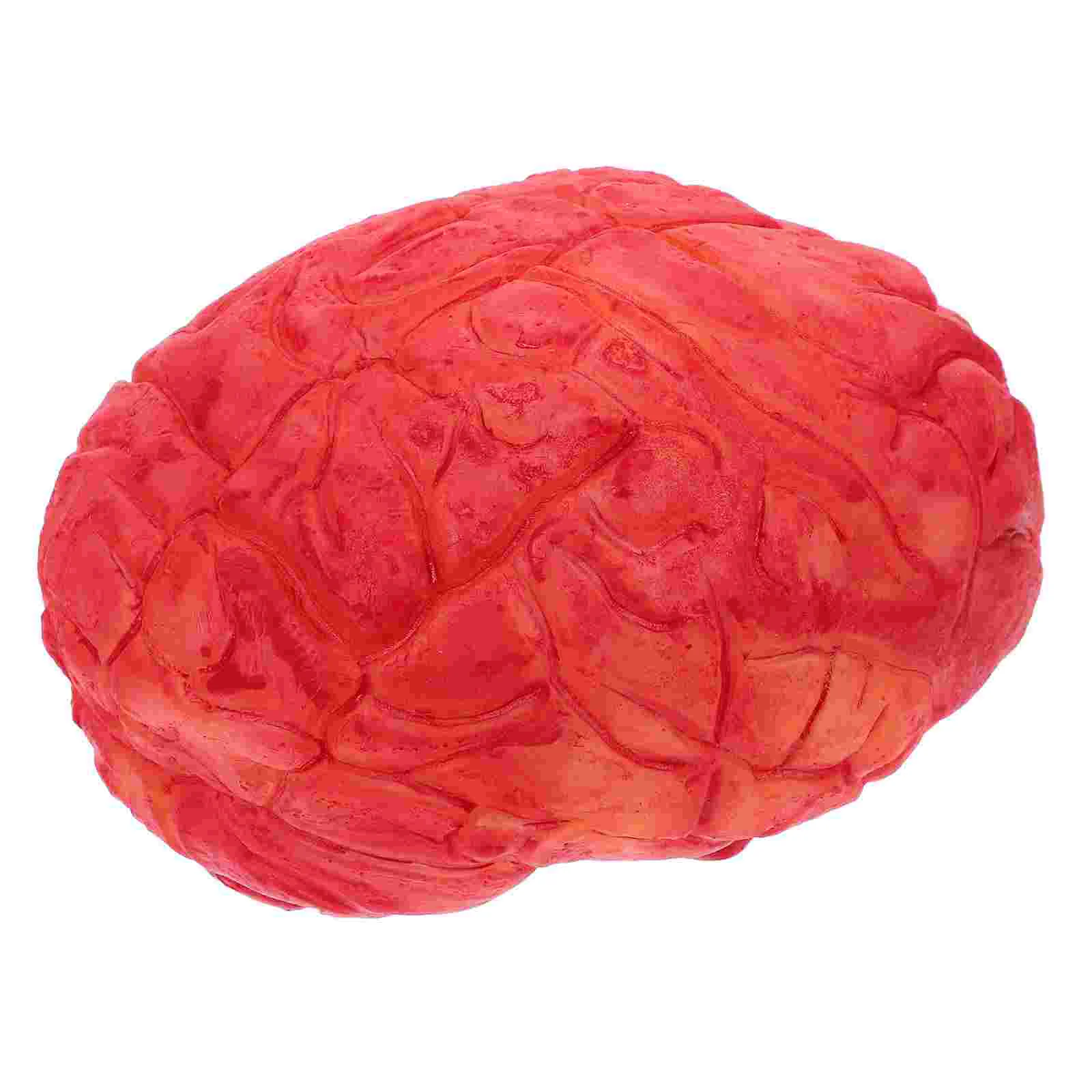 1Pc Halloween Prop Scary Fake Organ Human Brain Body Parts for Halloween Party Accessories(Dark Red)