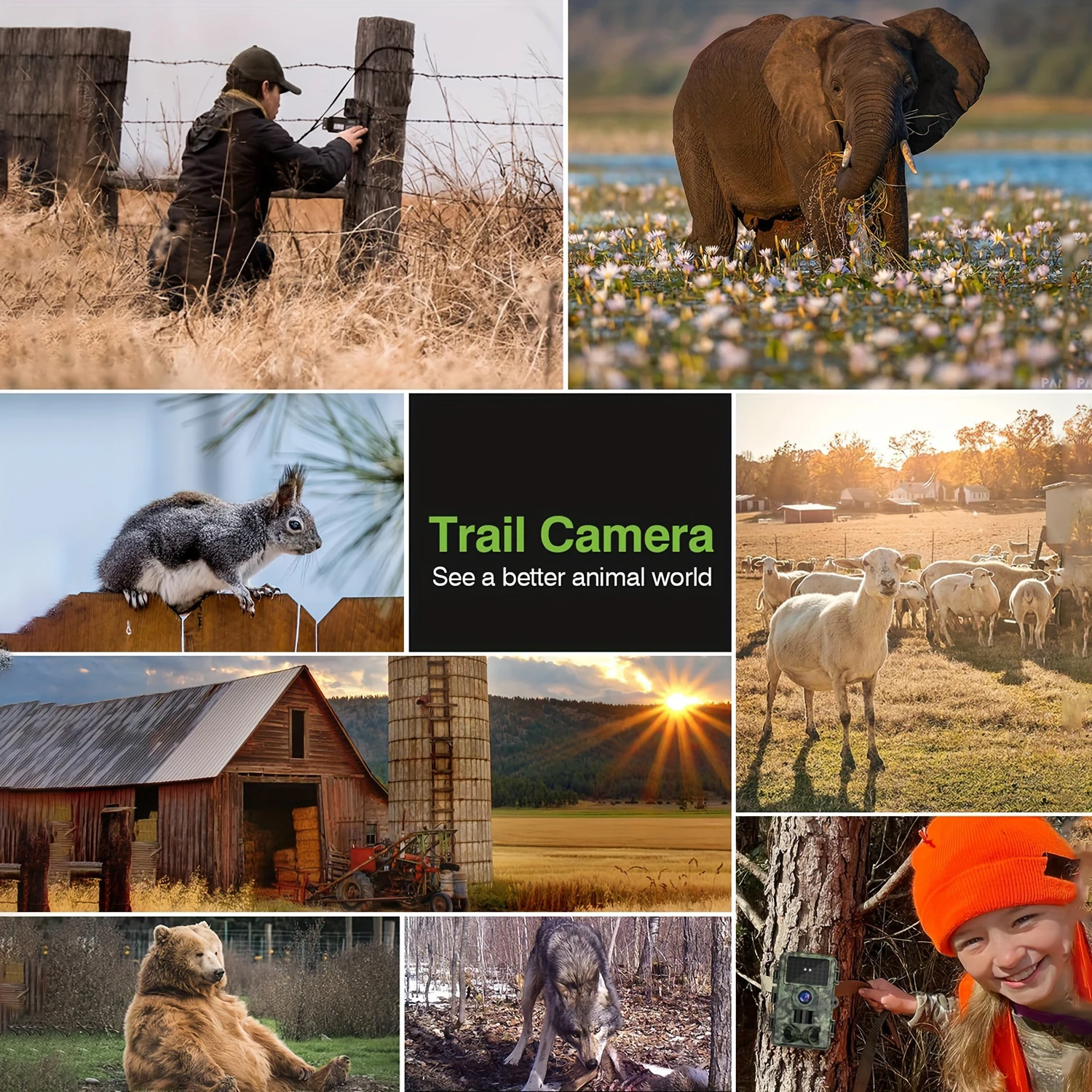 Kamera Perburuan 1080P Tahan Air dengan Penglihatan Malam Inframerah dan Pemicu Gerak untuk Pemantauan Satwa Liar dan Pengawasan Luar Ruangan