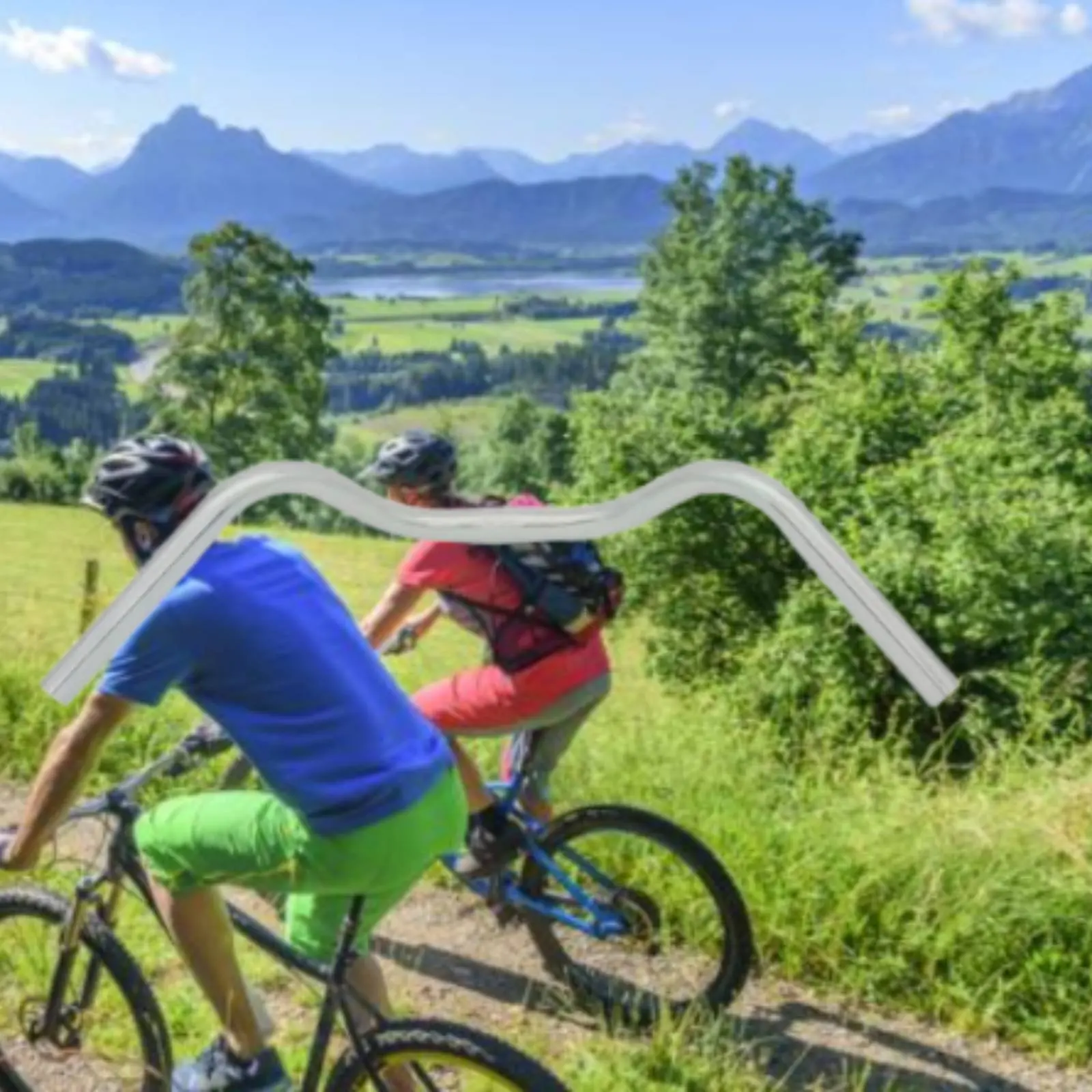 

Swept Rear Handlebar Ergonomic Design Touring Bike Handlebar for Leisure Cycling