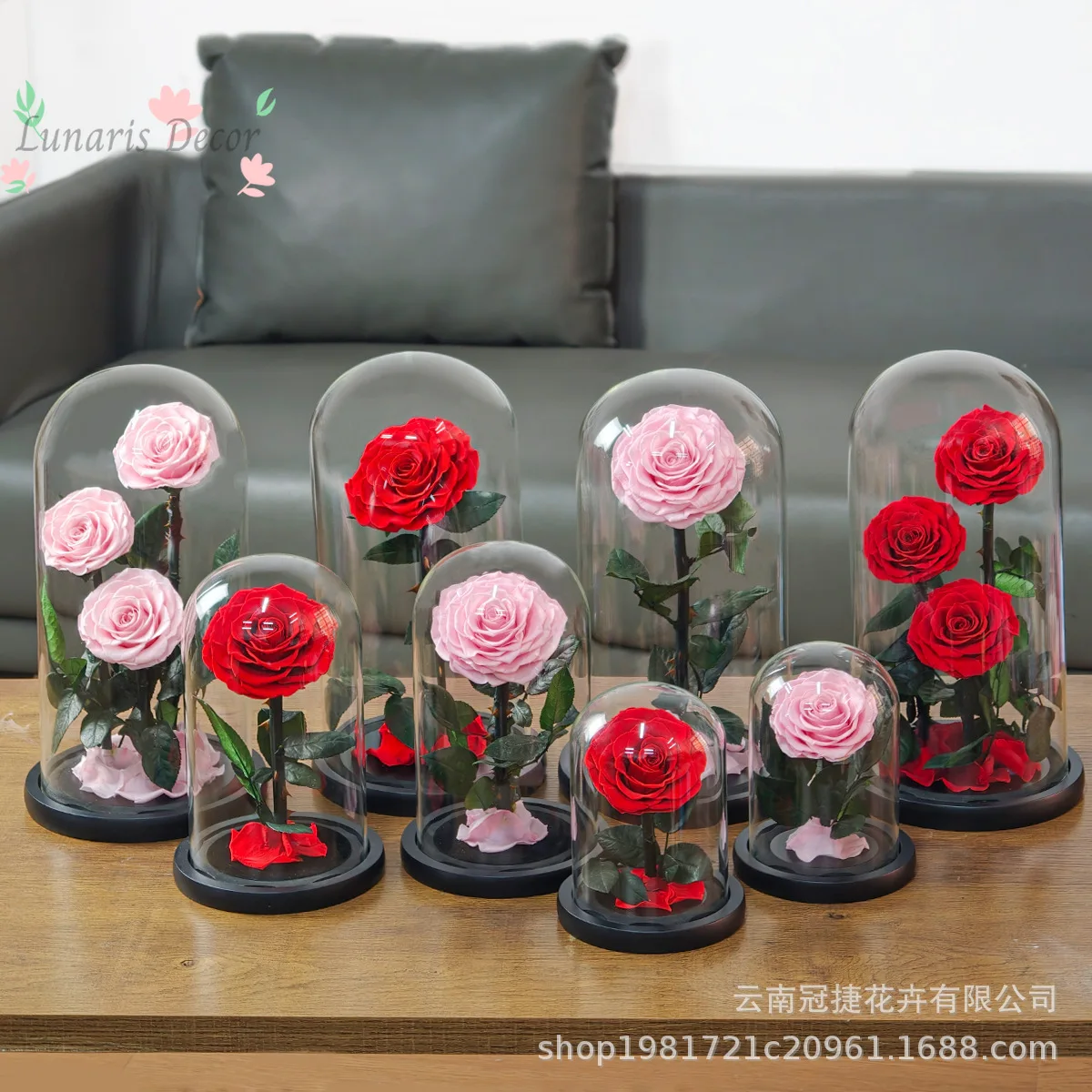

High-end gift real flower glass cover ornament with light eternal flower little prince rose gift box