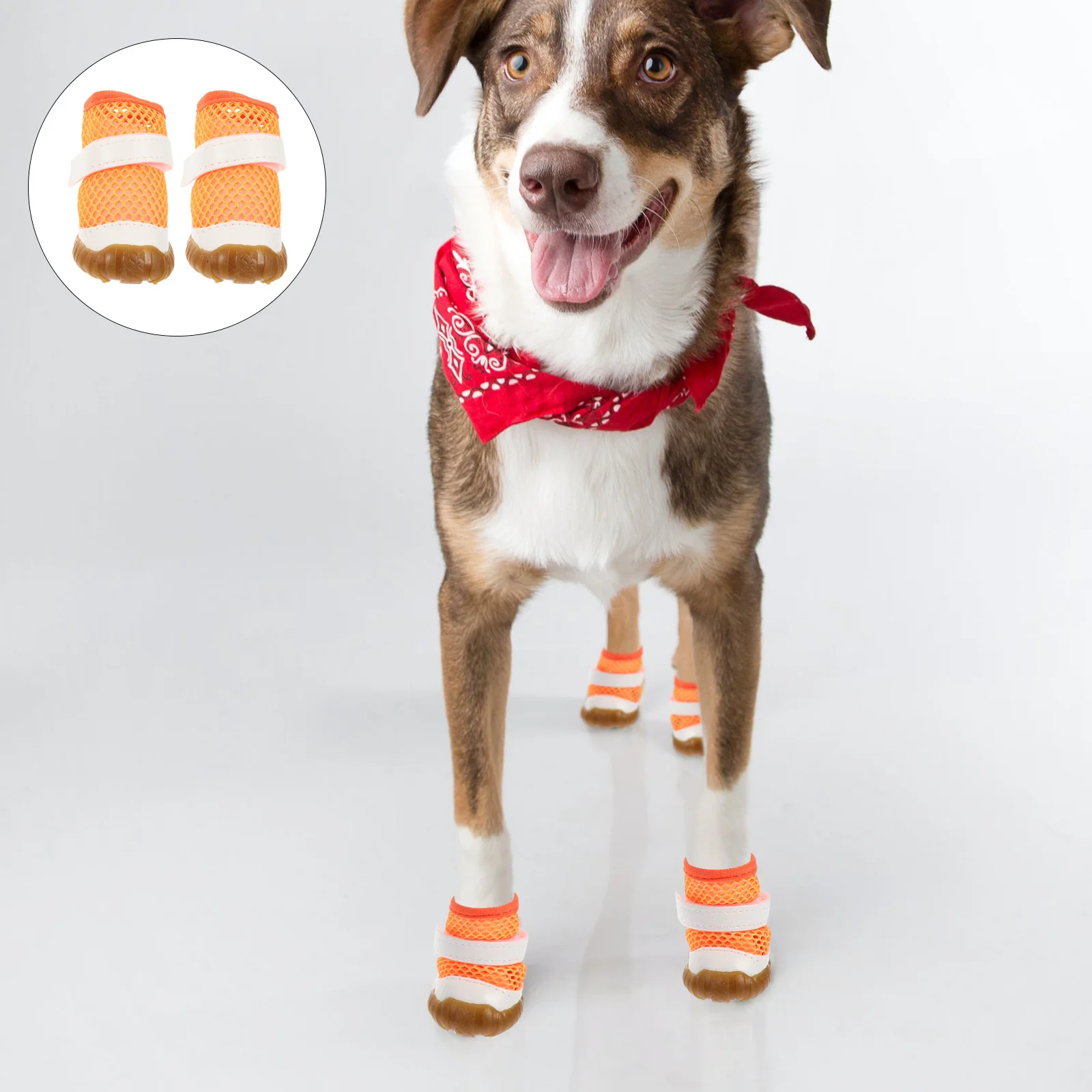 

4Pcs Pet Breathable Shoes Decorative Dog Boots Wear-Resistant Outdoor Rainy Day Protection Accessories Dog Shoes