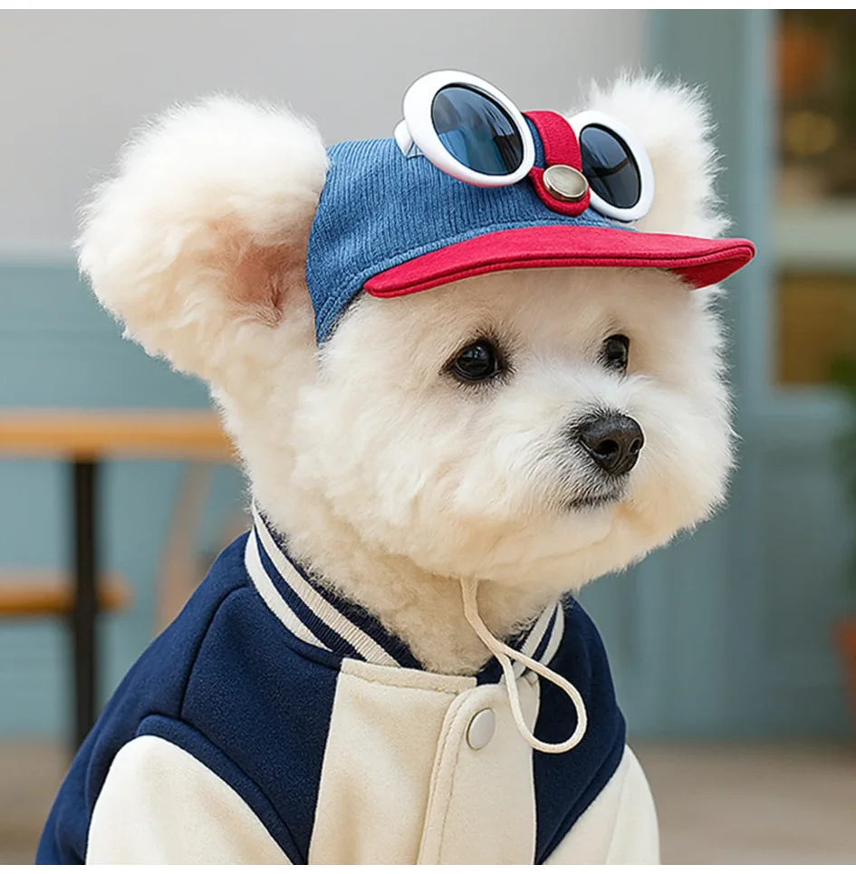 Two-piece fashionable pet sun hat and cool sunglasses set, dog baseball cap and cat head cover
