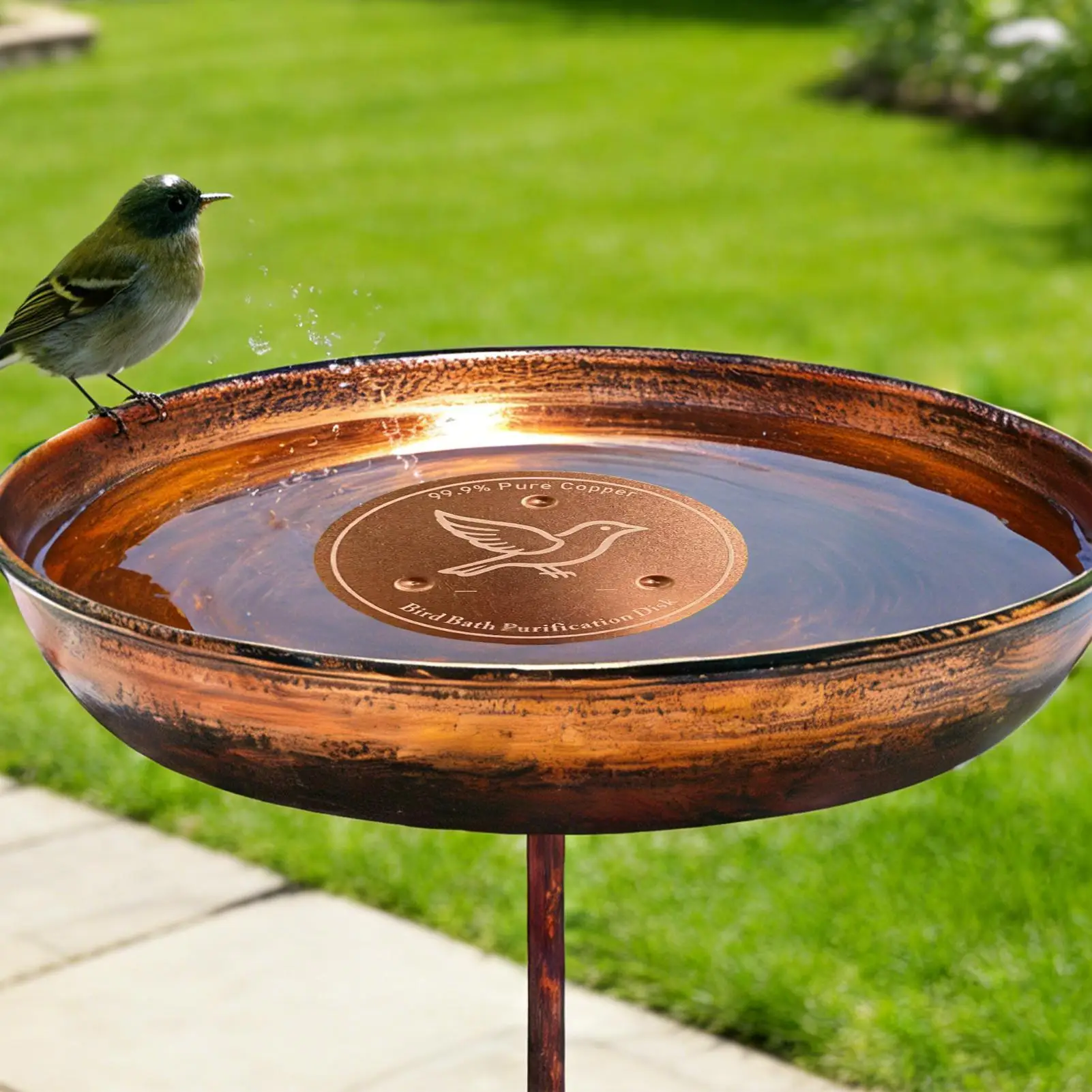 Bird Bath Purification Disk Round Natural Cleaner Copper Disc For Bird Bath Bowl For Outdoor Garden Yard Patio Lawn Stone