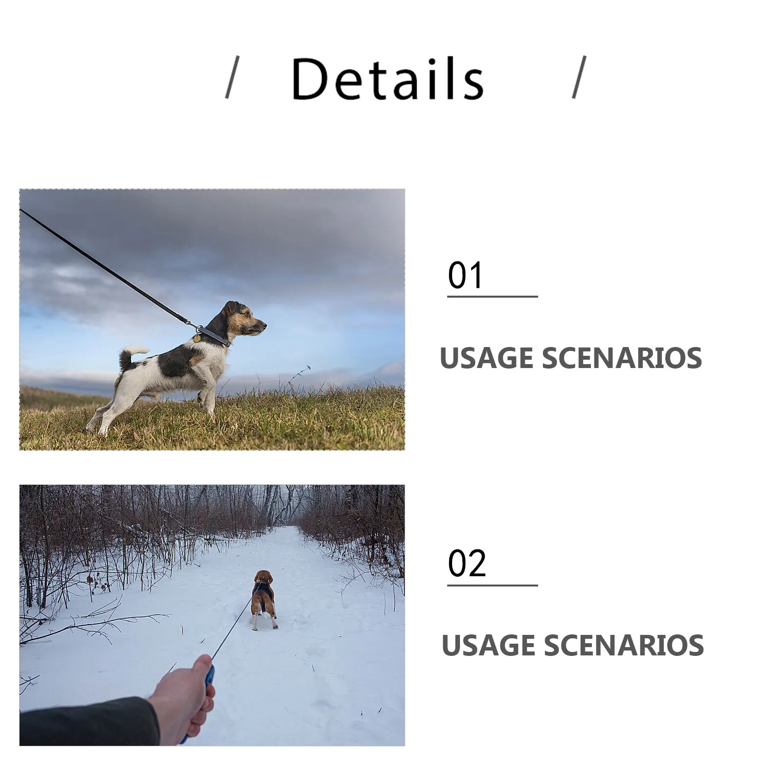 

2Pcs Pet Dog Collar Leash Set Adjustable Pearls Collar Safety Design for Daily Wear Christmas Birthday Wedding