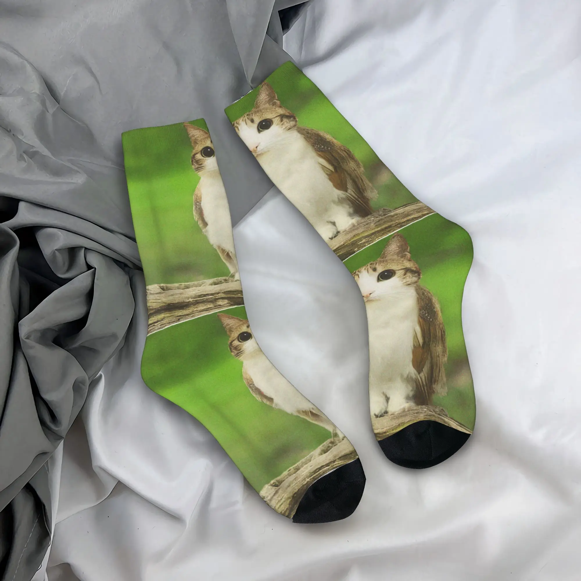Cat Owl Funny Cursed Internet Trendy Meme Socks Autumn Stockings Harajuku Men's Comfortable Socks Custom Running Anti Skid Socks