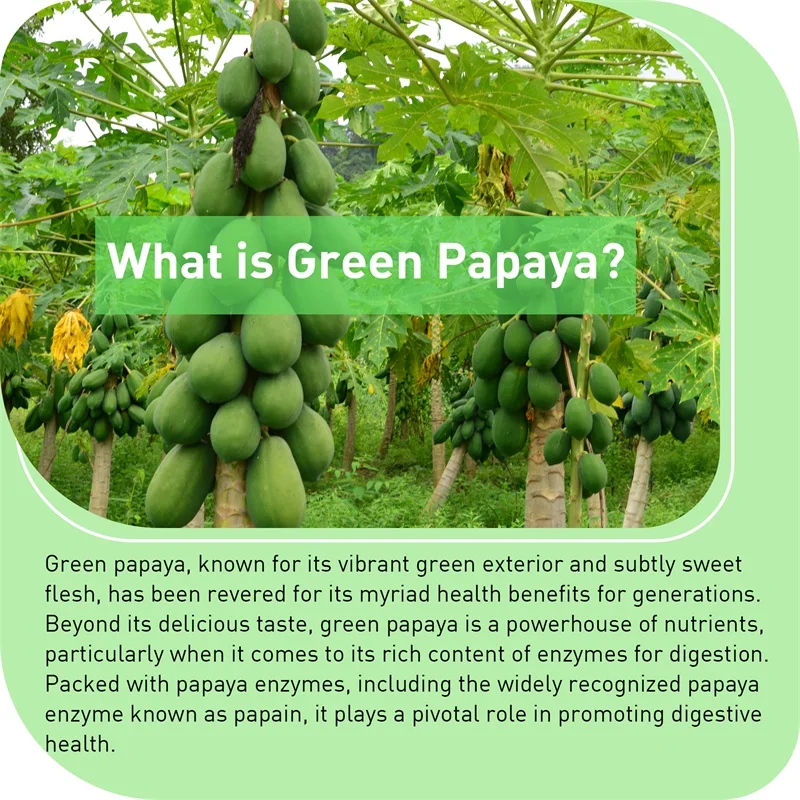 Green Papaya - Improve Digestion, Enhance Platelets, Intestinal Health - Rich in Papaya Digestive Enzymes