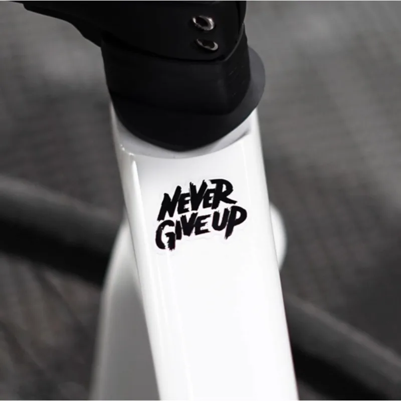 2x NEVER GIVE UP Vinyl Car Sticker for Mountain Road Fold Bike Bicycle Cycling Electric T‑Tube Graphic Decal Decor
