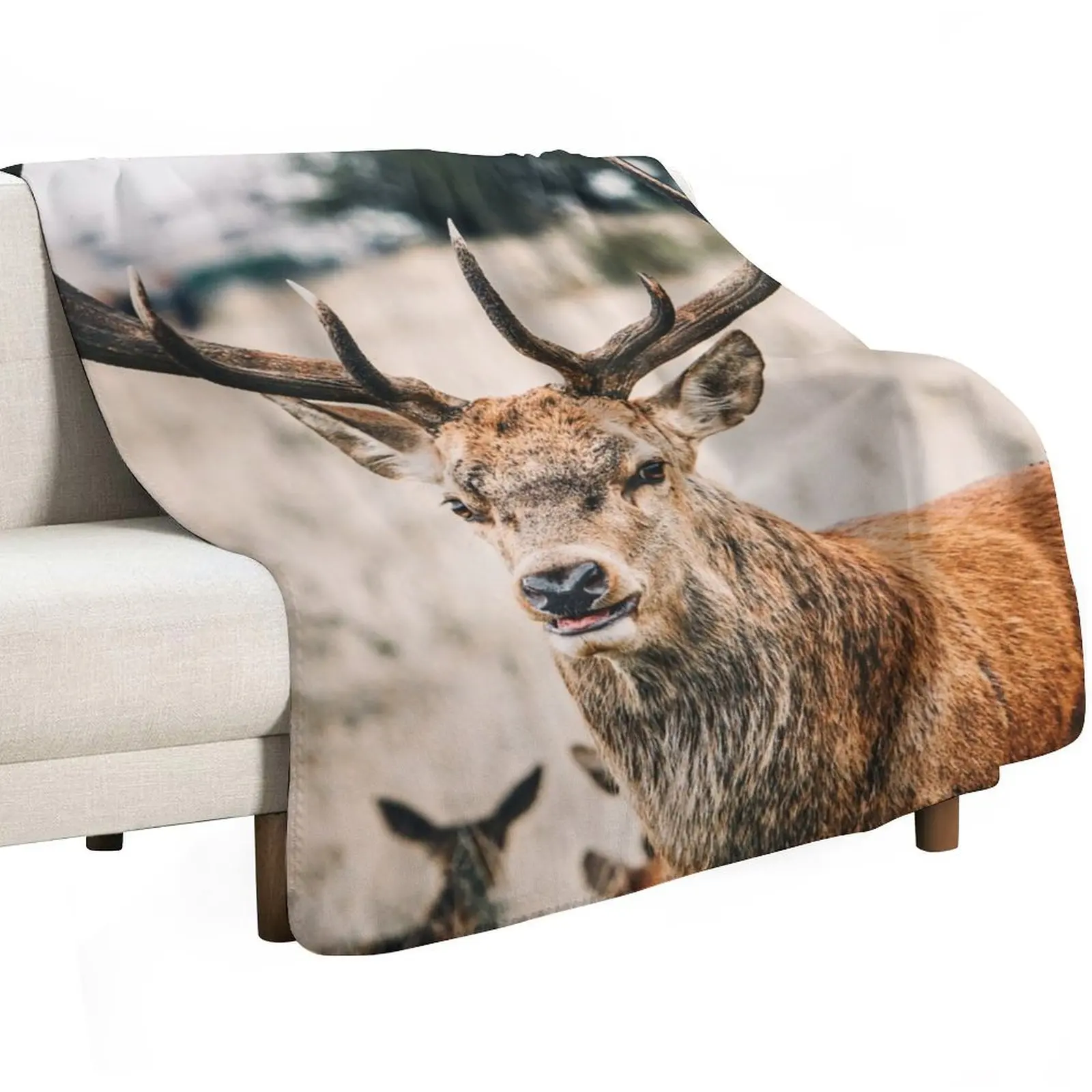 The proud deer Throw Blanket For Sofa Thin For Baby Blankets For Sofas sofa bed Moving Shaggy Blankets