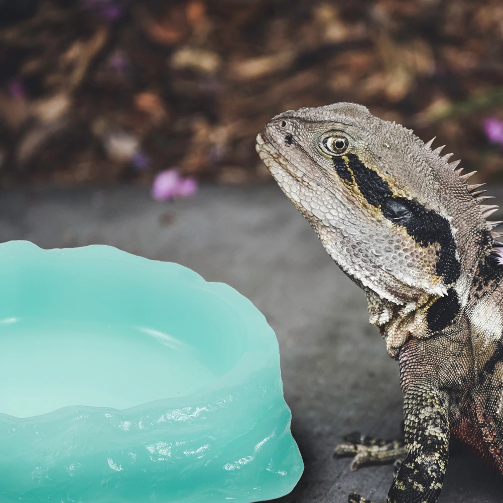 

2pcs Night Bowl Luminous Reptile Feeding Dish Stable Resin Anti Slip Food Container Pet Lizard Turtle Bowls Terrarium