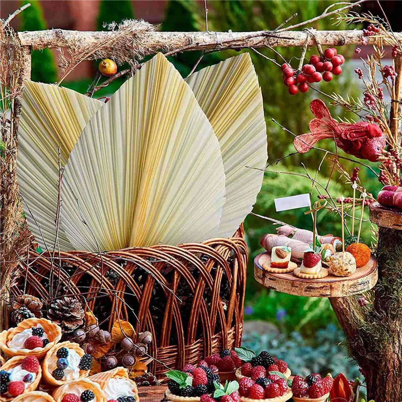 Folhas de palmeira secas brancas grandes A24P - qualidade premium - 18 peças elegantes e modernas boho para decoração de casa e casamento - arte de parede