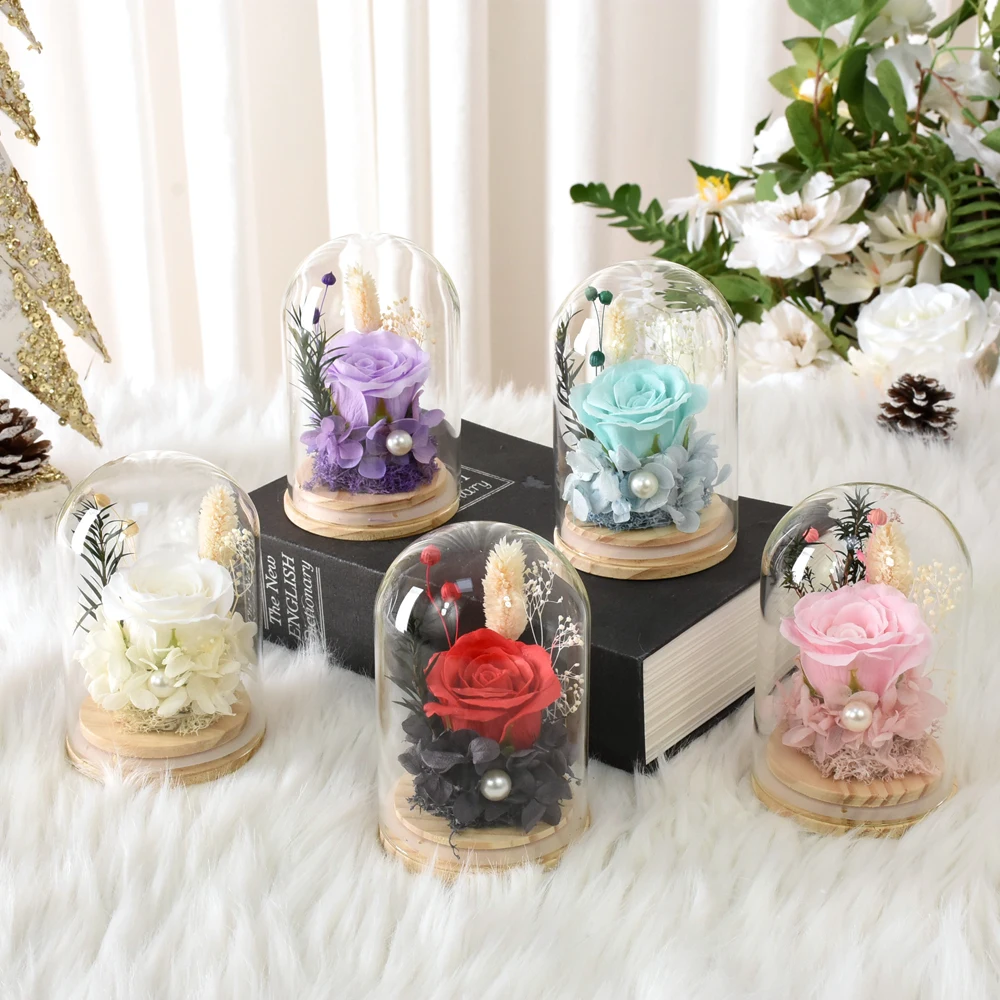 Regalos de rosas eternas para mujeres, flores preservadas para siempre, rosas en cúpula de cristal, aniversario, día de San Valentín, cumpleaños, regalo del día de la madre