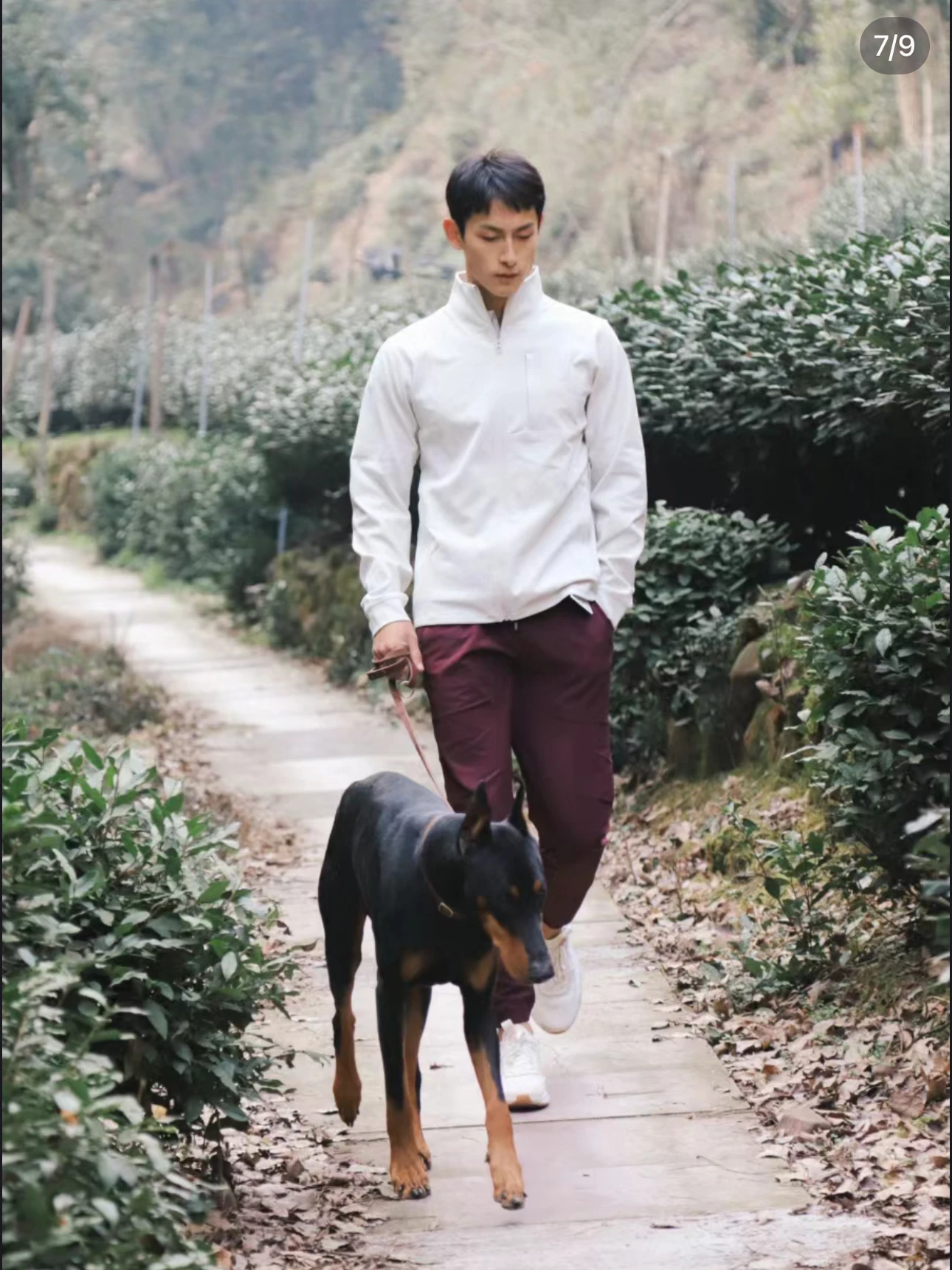 

Comfortable Breathable Stand Collar Outdoor Jaet for Couples Spring Autumn Youth Stand Fit Long Sve Zipper Closure