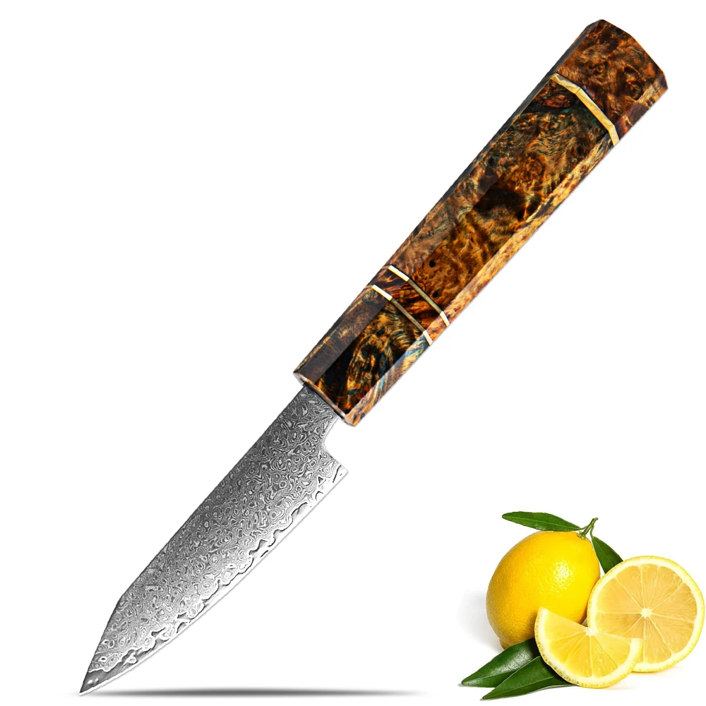 

Damascus 3.5 Inch Paring Knife Fruit Knife Damascus Steel Sharp Japanese Pro Kitchen Knife Cooking Knife Octagonal Wood Handle