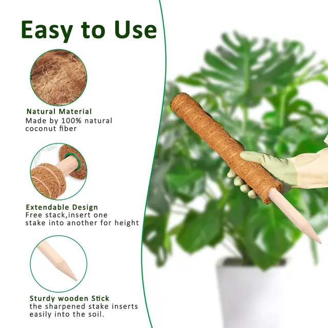 Moss Pole 38/43/53CM Monstera Plant Support Stackable Moss Poles for Plants Coir Totem Pole Tall Moss Pole for Climbing Plants 2 Moss Pole 38/43/53CM Monstera Plant Support Stackable Moss Poles for Plants Coir Totem Pole Tall Moss Pole for Climbing Plants 2