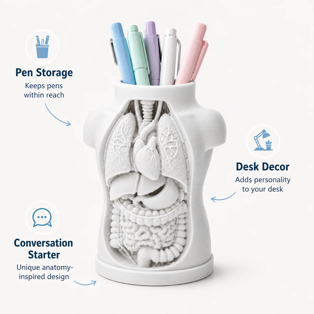 2-Piece Set of Human Anatomy-S - Medical Lab Study 评论和价格