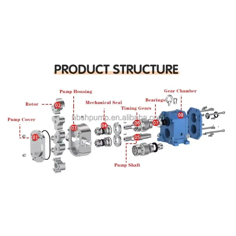 2026 Three Phase Rotary Lobe Pump Pulley Driving Rotary Lobe Pump up Inlet Down Outlet Cam Rotor Pumps