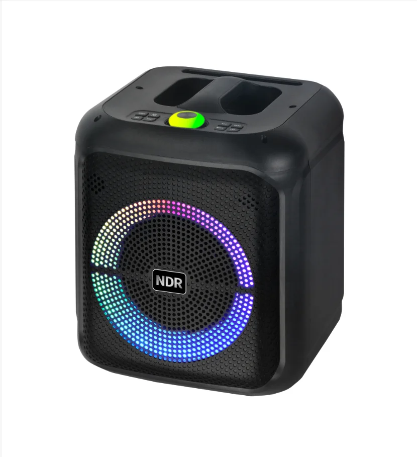 ndr-2210-portable-speaker-10-inch-woofer-20-watts-led-lighting-battery-2-wireless-microphones-for-outdoor-factory-direct-sales