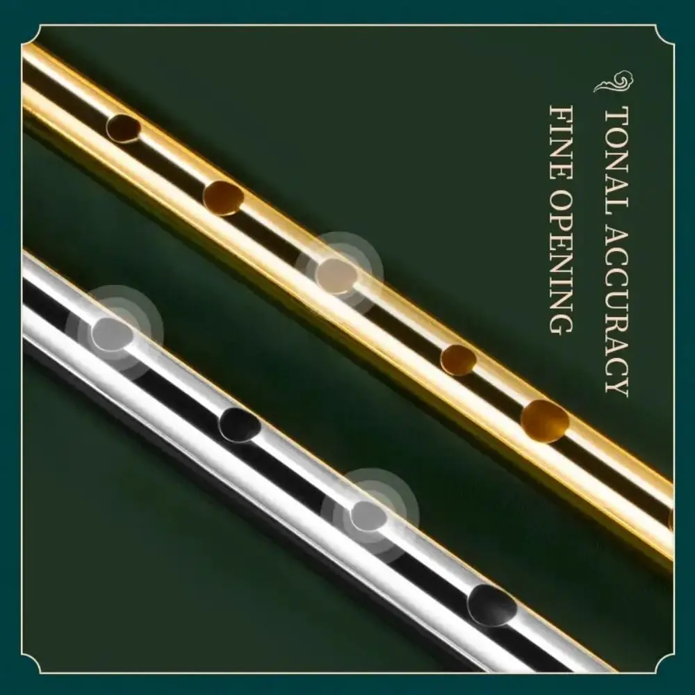C/D Key Irish Whistle Flute Rich Tone 6 Holes Aluminum Tin Whistle Easy-to-learn Irish Tin Whistle Musical Instruments