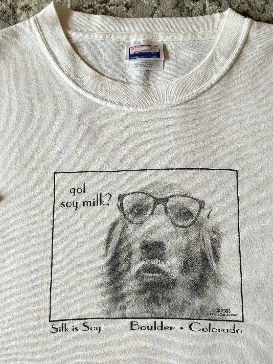 Retro Pet Print Oversize Short Sleeve T-Shirt Couple Fun High-End Vintage Cotton Skin-friendly Breathable round Neck Summer Top