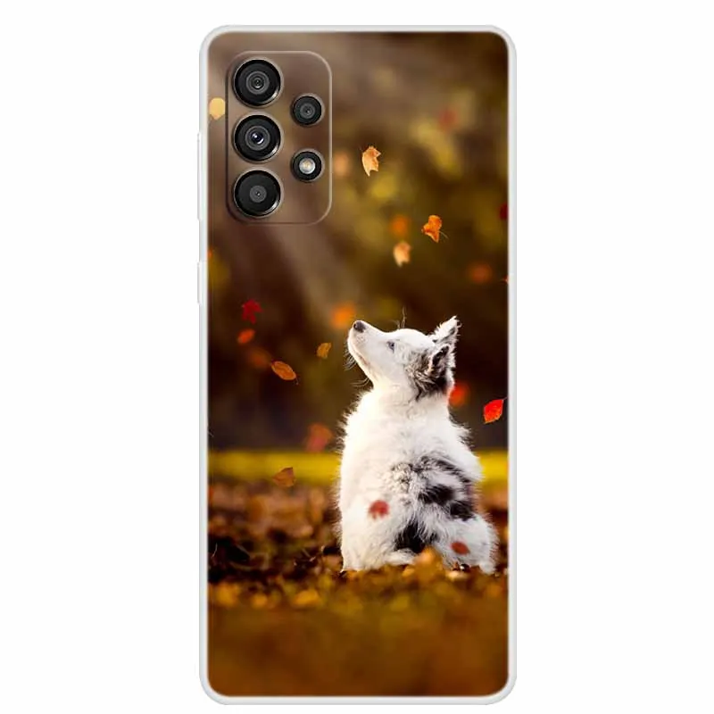 For Samsung A53 5G Cases 2022 Soft TPU Clear Slim Silicone Printed Coque Covers for Samsung Galaxy A53 5G Cases Paras Shell A 53