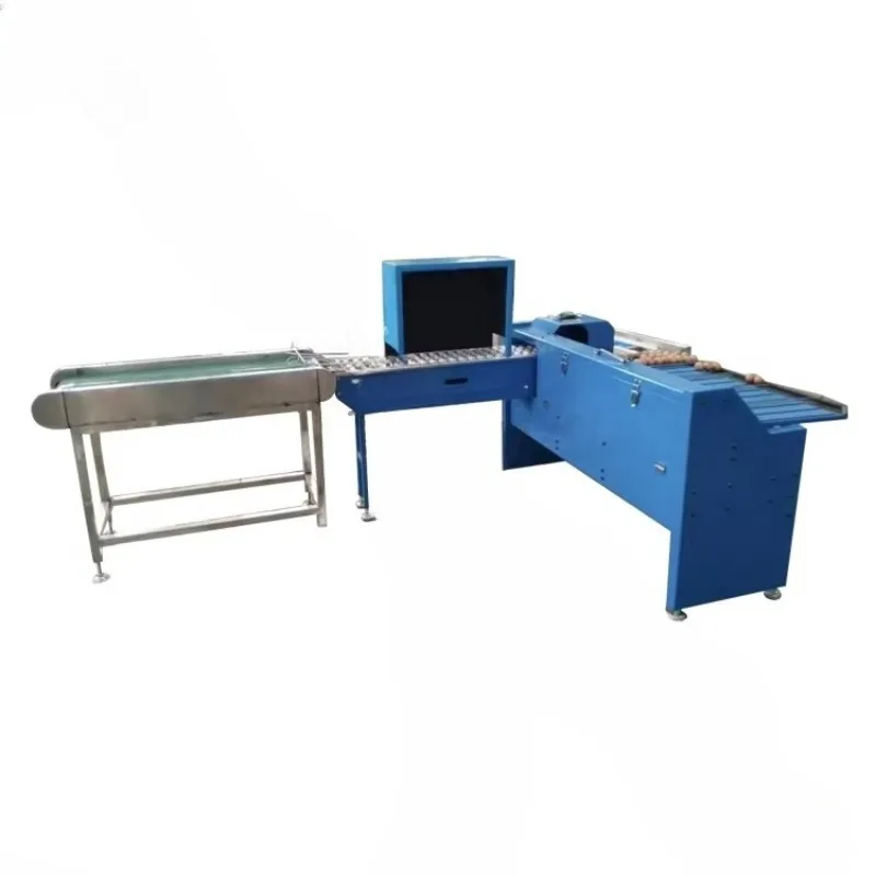 Customizable Small Egg Grade Machine Egg Sorting Machine 10000 Pcs Industrial Eggmachine