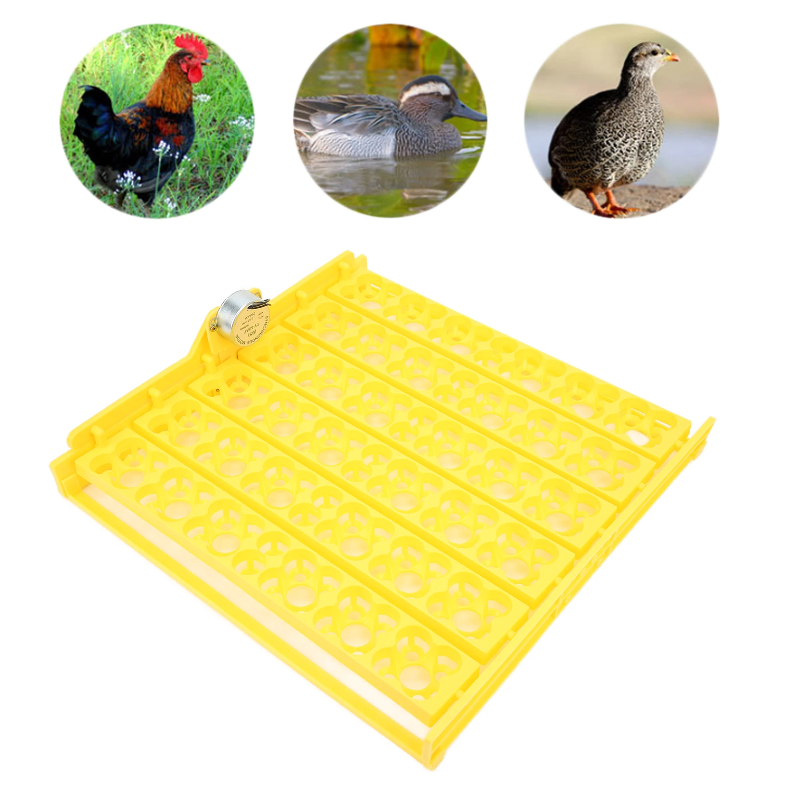 

Egg Incubator Tray Egg Incubator Accessories Bird Eggs for Automatic Egg Incubator for Small Commercial Farmers