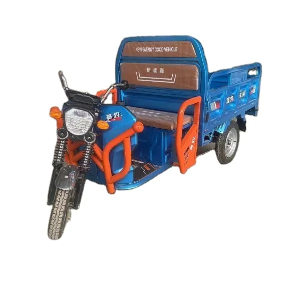 The Carried People and Goods Load king Factory Distant Sales Electric Tricycle
