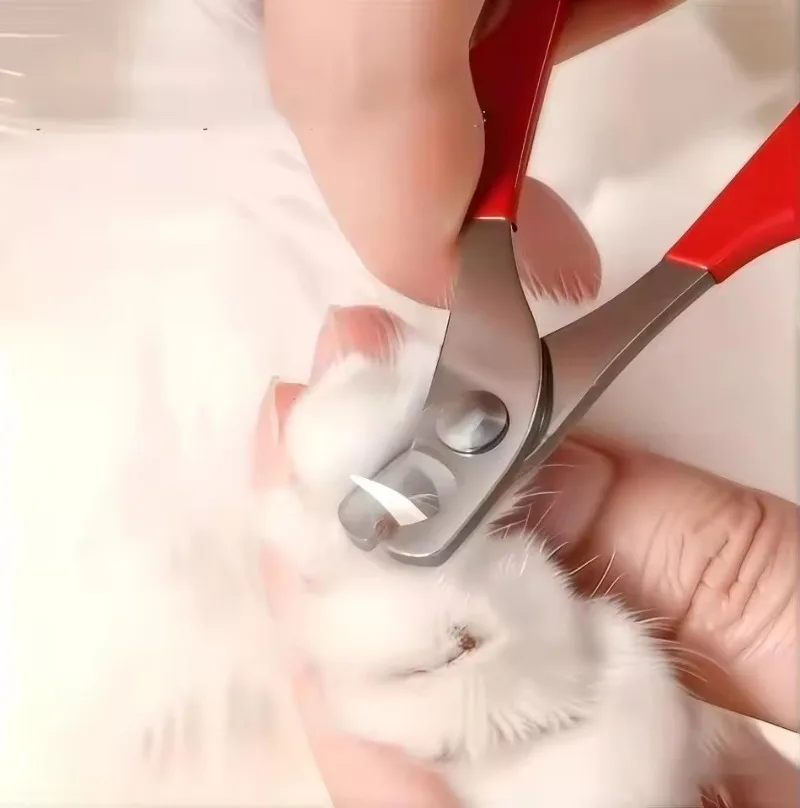 1/3 Pcs Household Stainless Steel Cat Claw Scissors Pet Nail Clippers Dog Grooming Tools Cat Nail Trimming Supplies