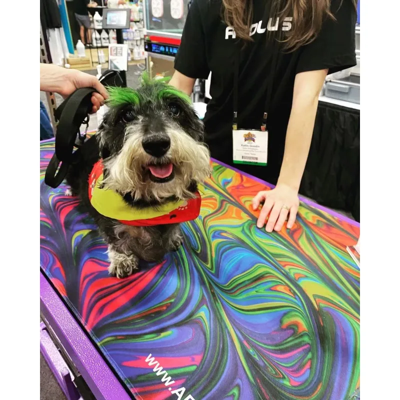 صالون العناية بالحيوانات الأليفة، طاولة أكورديون كبيرة للكلاب، طاولة احترافية لرفع الكلاب الكهربائية