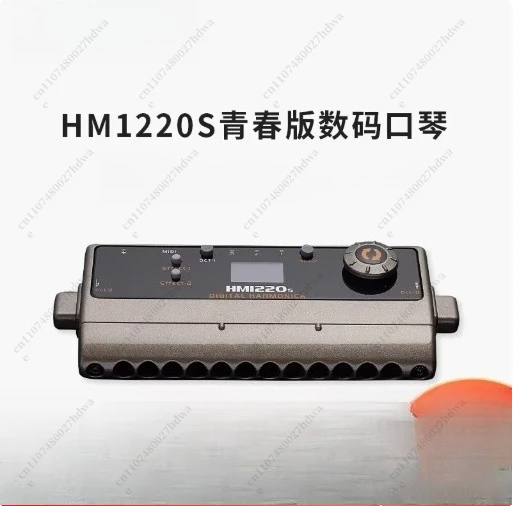 Professional Digital Harmonica HM1220, Built-in Speakers and MIDI Controller, 52 Sound Modes Bluetooth Music Synchronization
