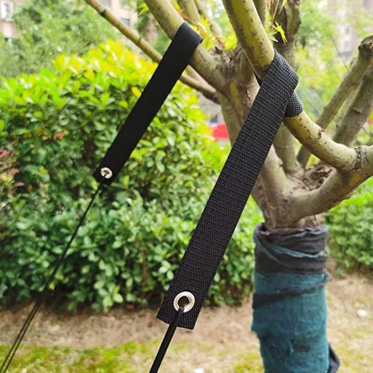 Windproof Tree Belt, Tree Nursery, Newly Planted Seedlings, Hurricane Resistant Shaping Belt, Plain Ring, Air Eye Fixing Strap